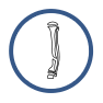 Congenital Pseudarthrosis of the Tibia